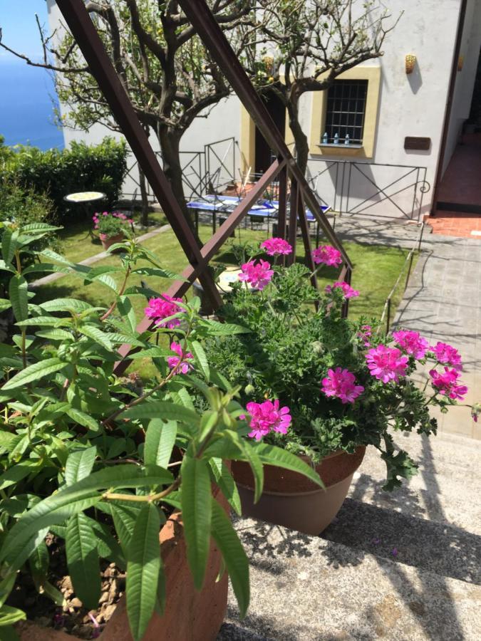 Villa L' Eco Dell' 800 Furore Buitenkant foto